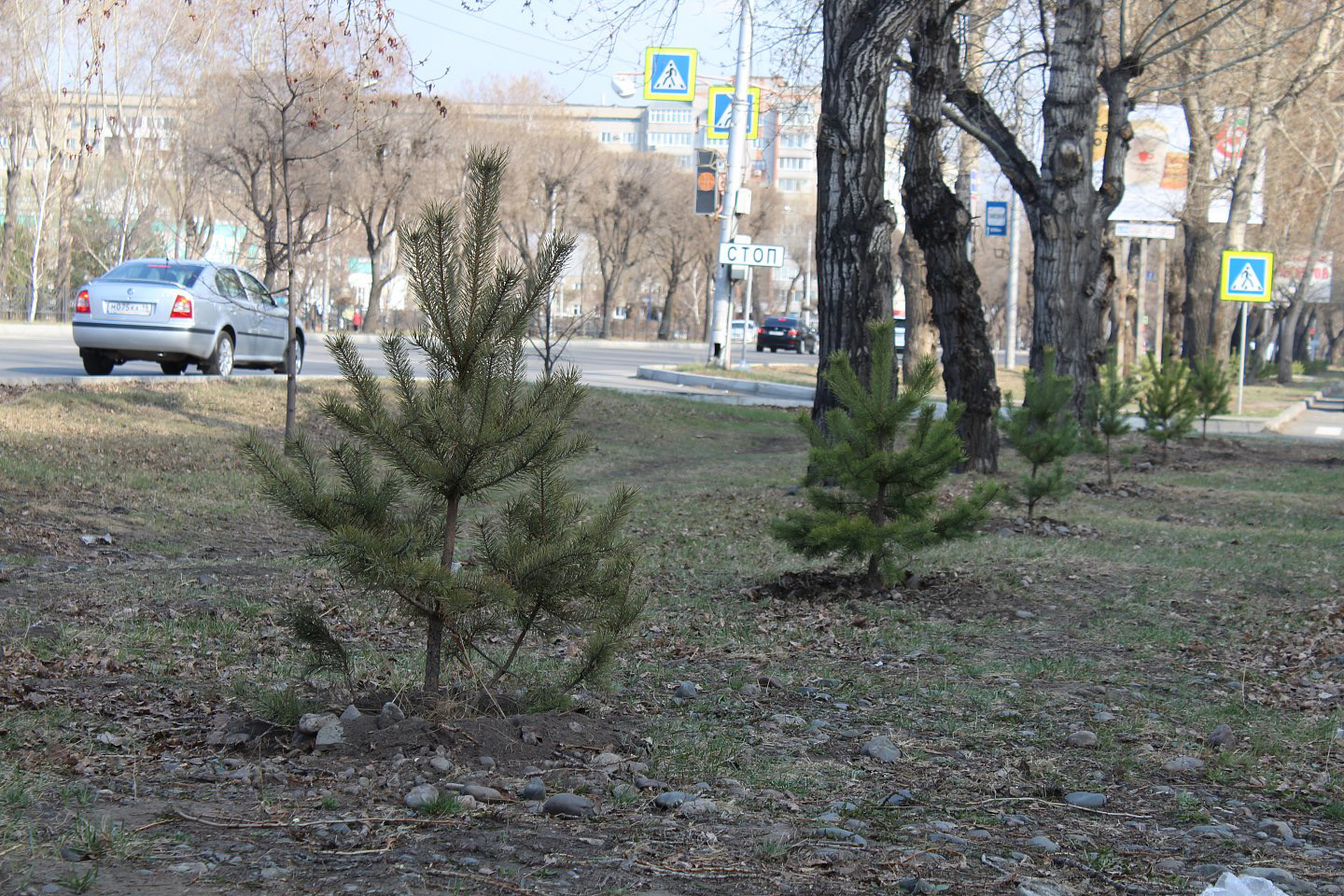 Армянское национально-культурное общество "АРАРАТ" (Абакан)